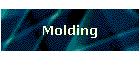 Molding